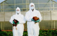 北京确诊今年第二例H7N9病例 首例已死亡
